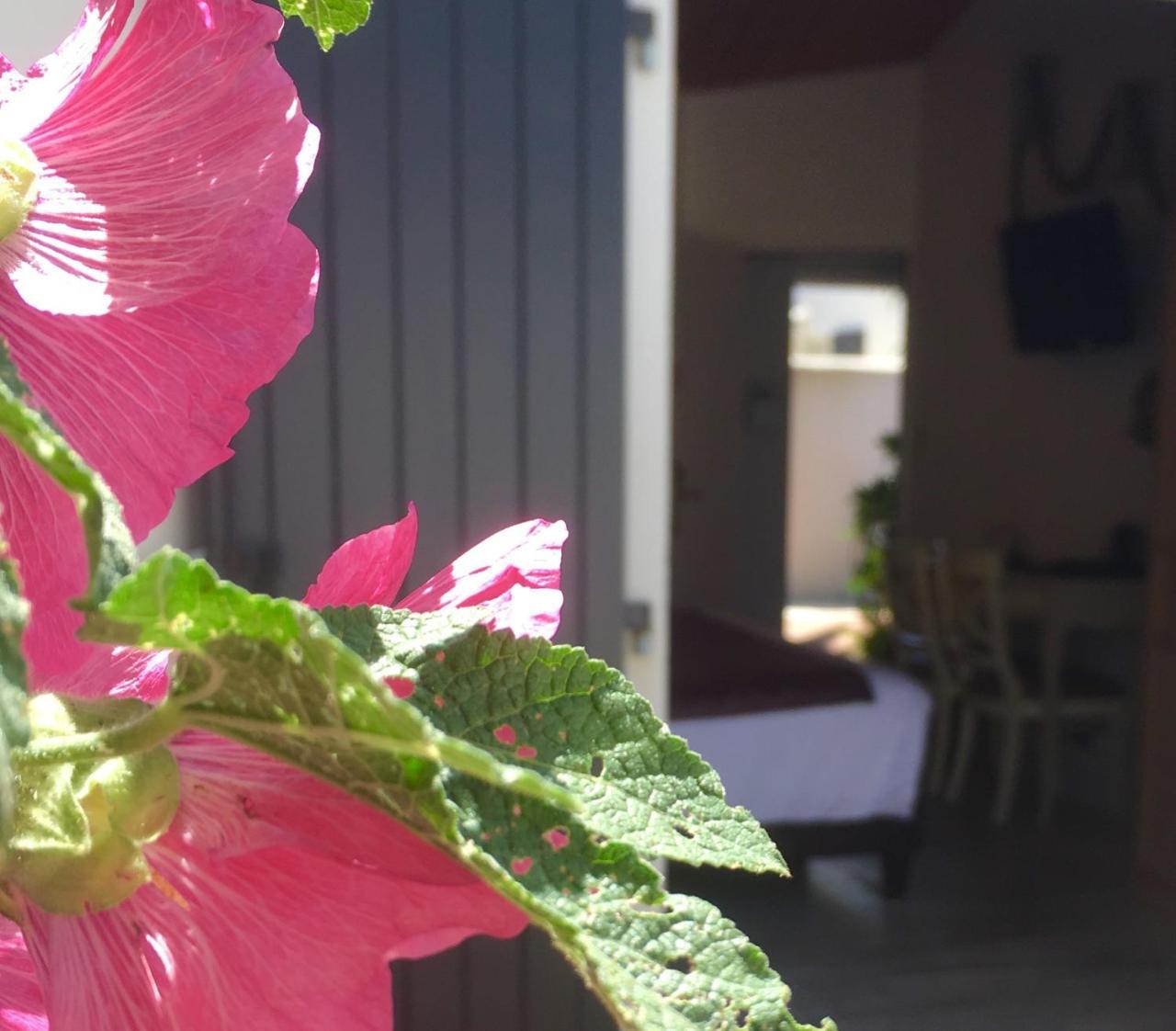 Hôtel Restaurant&Spa Plaisir Le Bois-Plage-en-Ré Exterior foto